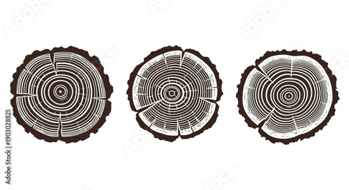 Three detailed illustrations of tree rings showing growth patterns and age of the wood.