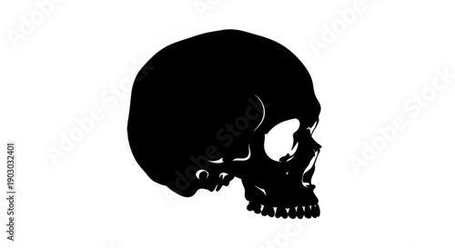 Silhouette of a human skull viewed from the side showcasing detailed anatomy and structure