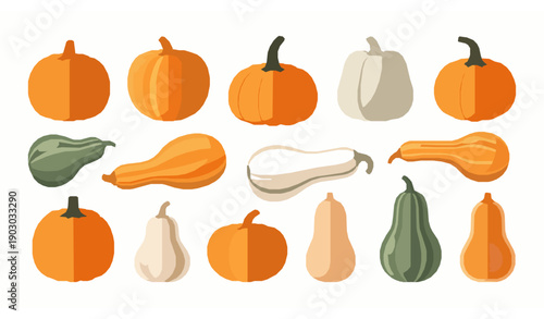 Autumn pumpkins and gourds vector set with butternut squash in orange white and green colors
