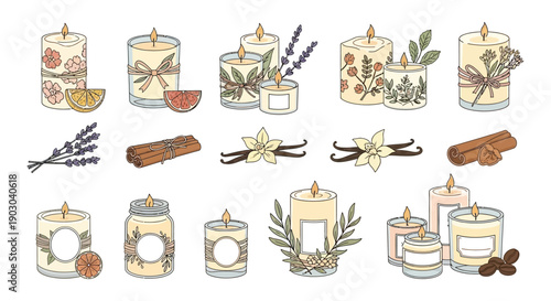 A collection of decorative scented candles with botanical elements