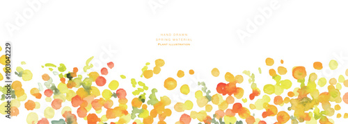 水彩画。水彩タッチのミモザのベクターイラスト。春のミモザ水彩フレーム。Watercolor painting. Vector illustration of a mimosa with a watercolor touch. Spring mimosa watercolor frame.