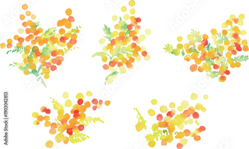 水彩画。水彩タッチのミモザのベクターイラスト。春のミモザ水彩フレーム。Watercolor painting. Vector illustration of a mimosa with a watercolor touch. Spring mimosa watercolor frame.