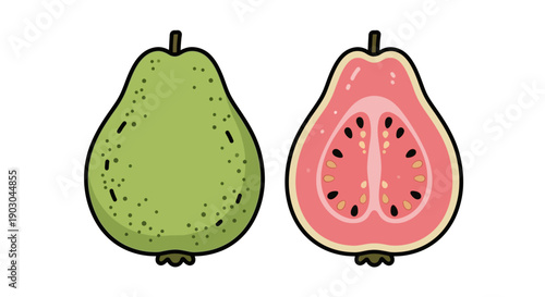 Vector illustration of whole and sliced guava on white background