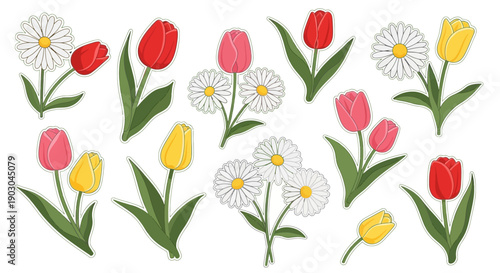 Colorful floral illustration of tulips and daisies with green leaves