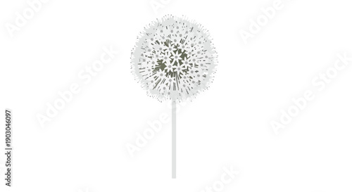 A pristine, elegant white spherical plant with delicate feathery texture, a minimalist botanical graphic on a clear white background, perfect for