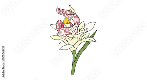 Stylized botanical illustration depicting a unique flowering plant with distinctive striped petals and a vibrant yellow center
