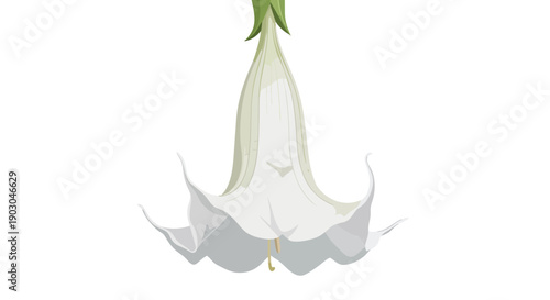 Elegant white bellflower illustration hanging gracefully from its stem, showcasing delicate petals and botanical artistry with a subtle green calyx