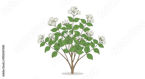 A pristine digital illustration portraying a flourishing botanical specimen, adorned with numerous delicate white blossoms and vibrant green leaves,
