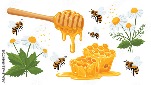 Natural honey production collection with bees honeycomb dipper and fresh chamomile flowers for healthy lifestyle.
