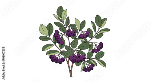 A captivating digital illustration of a plant branch featuring bountiful clusters of deep purple berries nestled among vibrant green leaves, perfect