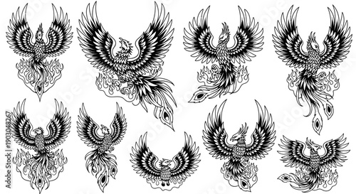 Foto Collection of detailed black and white phoenix bird illustrations with spread wings and intricate feather designs