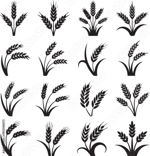 black silhouettes of various wheat plants on white background