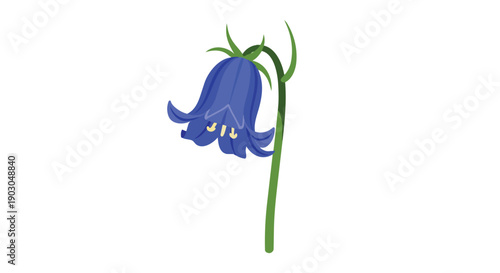 A delightful botanical illustration presents a single vibrant bluebell blossom with a graceful green stem showcasing the delicate beauty of