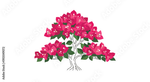 Vibrant bougainvillea illustration showcasing a beautiful display of vivid magenta blossoms and lush green foliage on a pristine white background.