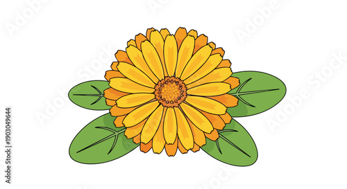 Vibrant calendula bloom illustration with verdant foliage a joyful digital botanical representation
