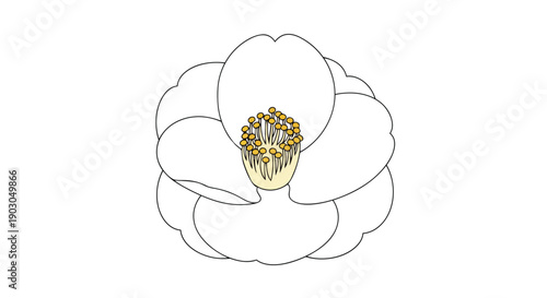 Elegant floral illustration showcasing a pristine white blossom with vibrant golden stamens a beautiful botanical depiction for various design