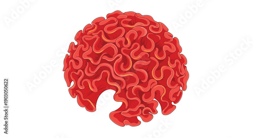 An intricate illustrative depiction of a complex brain-like organic form featuring convoluted red and orange textures on a pristine white background