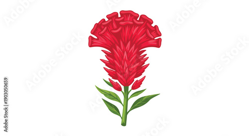 A captivating illustration of a majestic red cockscomb flower, scientifically known as Celosia, depicted with exquisite detail and vibrant hues