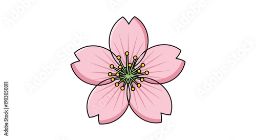 Charming pink flower illustration with five delicate petals and a vibrant yellow-green center displayed on a pristine white background perfect for