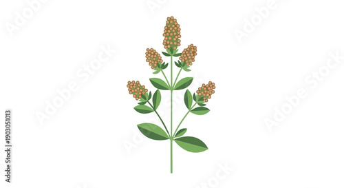 Minimalist botanical illustration of a flourishing green plant with delicate golden clustered blossoms