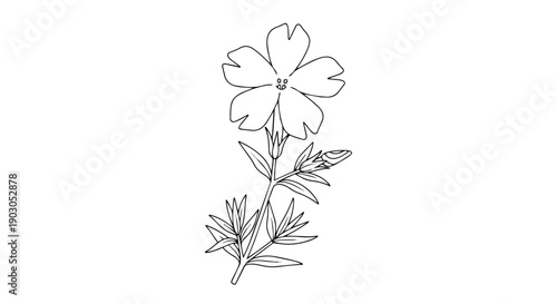 Exquisite botanical line art drawing of a wild five-petal flower with delicate leaves and a blossoming bud capturing the essence of natural floral