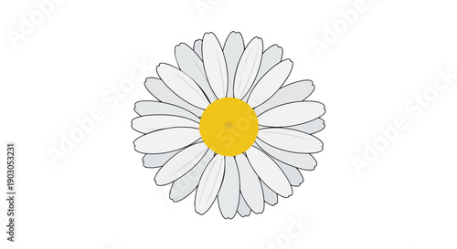 A pristine minimalist illustration of a delicate white daisy with a vibrant yellow center, symbolizing natural beauty and simplicity against a pure