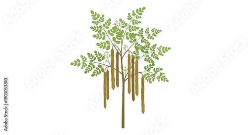 Illustrative depiction of a flourishing moringa tree laden with nutrient-rich drumstick pods an emblem of natural health and vitality in botanical