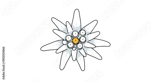Stylized graphic illustration of a pristine edelweiss bloom featuring distinct white petals and a vibrant yellow center against a crisp background,