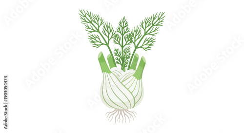 A vibrant illustration of a fresh fennel bulb with delicate green fronds and visible roots showcasing its natural beauty and wholesome essence