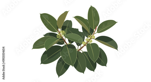 Lush green botanical illustration showcasing broad leaves and subtle flower buds isolated on white
