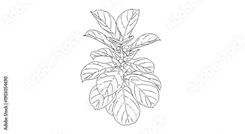 An intricate botanical drawing showcasing a lush plant with detailed leaves and organic textures, ideal for nature-inspired design elements and