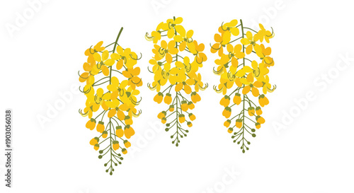 Vibrant yellow floral cascades illustration on clean white background depicting tropical spring blooms and light