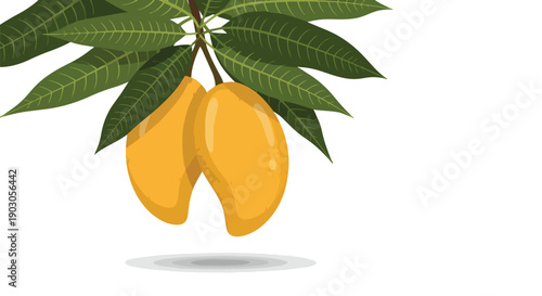 Freshly harvested golden mangoes hanging from a vibrant green leafy branch, illustrating tropical fruit bounty and natural sweetness for a healthy