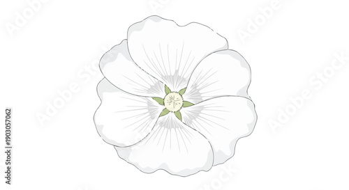Elegant botanical sketch of a pristine white blossom with subtle green core a delicate floral illustration