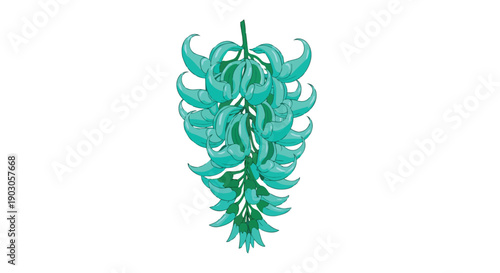 Vibrant teal jade vine flower illustration, showcasing cascading petals and exotic botanical beauty.