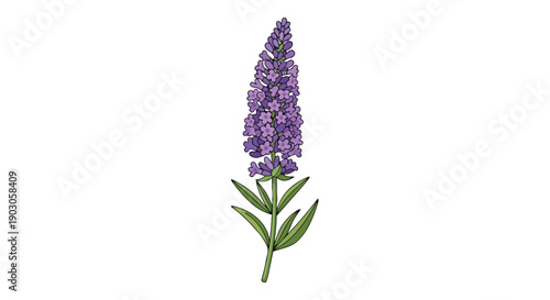 Elegant botanical line art rendering of a single vivid purple flower, resembling a lavender spike, with fresh green leaves. It conveys natural charm
