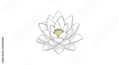 Serene white lotus bloom illustration radiating purity and spiritual tranquility, a harmonious botanical depiction ideal for mindful imagery and zen