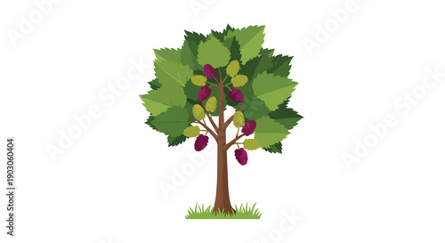 A vibrant illustration of a bountiful mulberry tree, showcasing its lush green foliage and a harvest of ripening berries in shades of light green