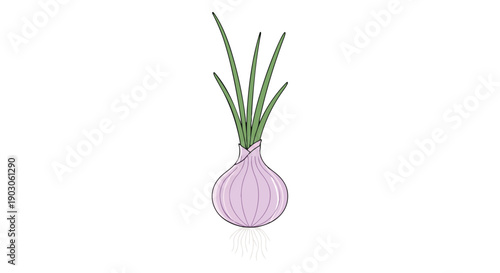 Vibrant purple onion illustration showcasing fresh green sprouts and subtle root structure on a clean white background depicting organic growth
