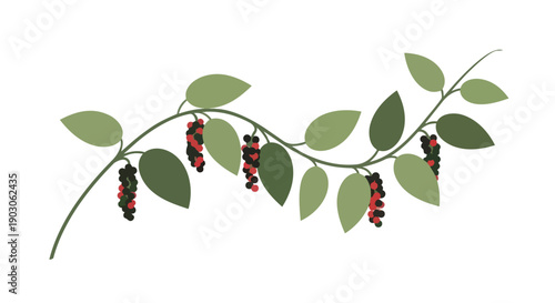 Graceful botanical illustration showcasing a verdant vine branch adorned with lush green leaves and abundant clusters of diverse red and black