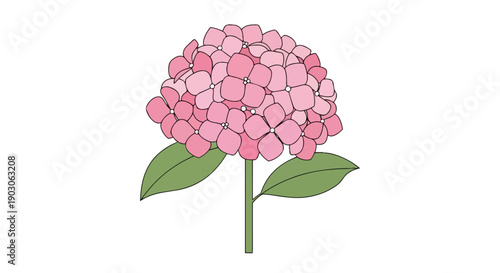 A delightful artistic illustration featuring a vibrant pink hydrangea flower cluster with green leaves on a pristine white background. This cheerful