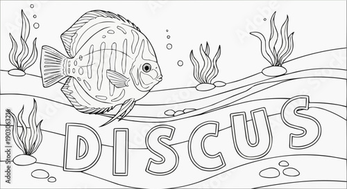 Coloring page of a discus fish swimming in a vibrant underwater scenery
