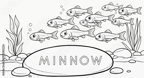 Coloring page of minnows swimming in a river with aquatic plants and rocks