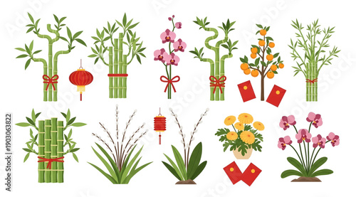 Collection of  Bamboo and flowers decorative plants.