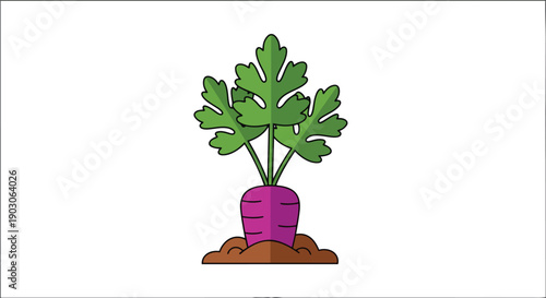 A vivid digital illustration depicting a freshly grown purple root vegetable with vibrant green foliage gracefully emerging from rich brown soil,