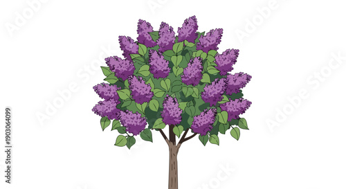 Vibrant purple lilac bush illustration with lush green leaves and sturdy trunk capturing spring bloom