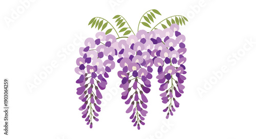 Exquisite illustration of cascading purple wisteria blooms with vibrant green foliage, showcasing delicate blossoms in a serene floral arrangement