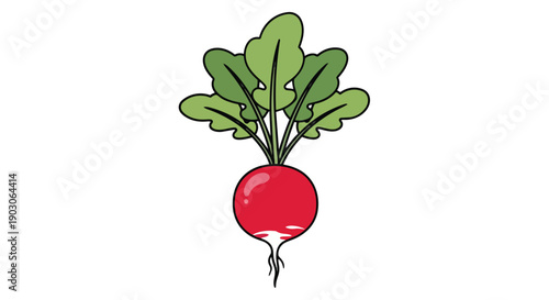 A crisp red radish with vibrant green leaves and delicate roots. This fresh produce illustration embodies natural health and wholesome organic