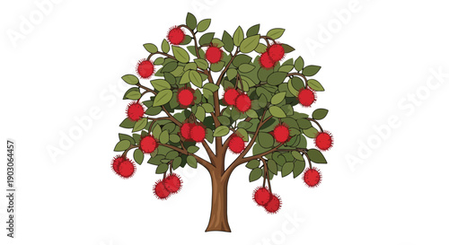 Vibrant illustration of a bountiful tropical rambutan tree, full of ripe red spiky fruits and lush green leaves, standing out on a clean white