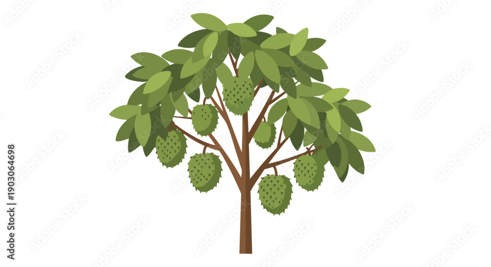 Obraz premium Illustrative soursop tree with green spiky fruits and lush leaves a detailed botanical depiction of exotic flora